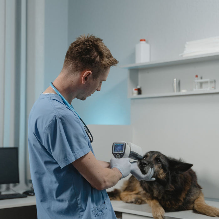 Veterinary Clinics