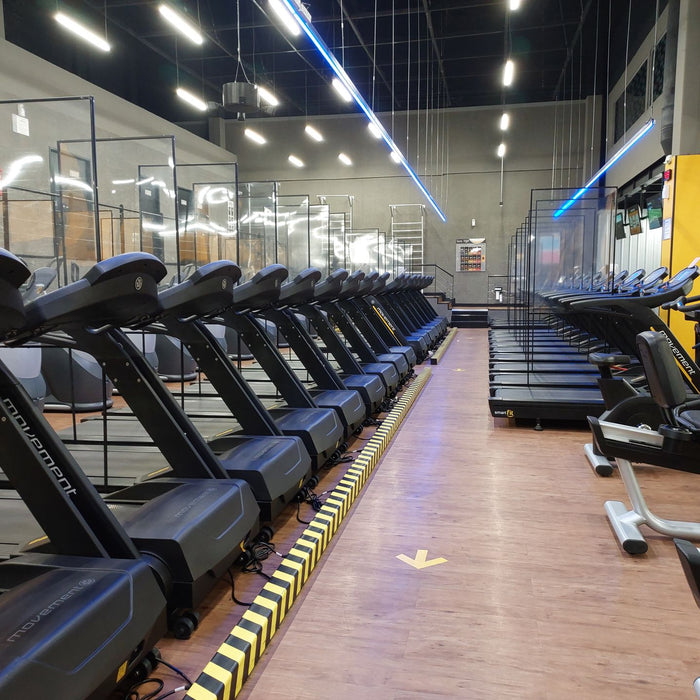 Gyms + Fitness centres